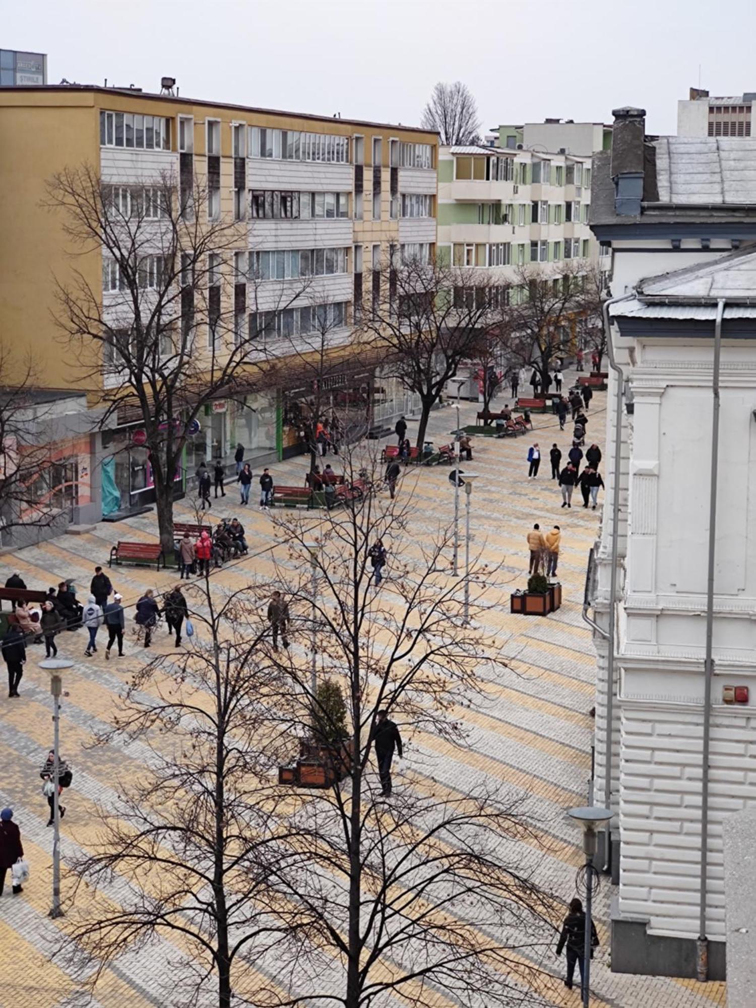 Puzzle Magic Bed & Breakfast Piteşti Dış mekan fotoğraf